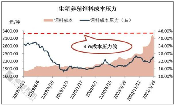 中国养猪网
