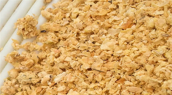 豆粕价格弱势震荡为主，但未来可期