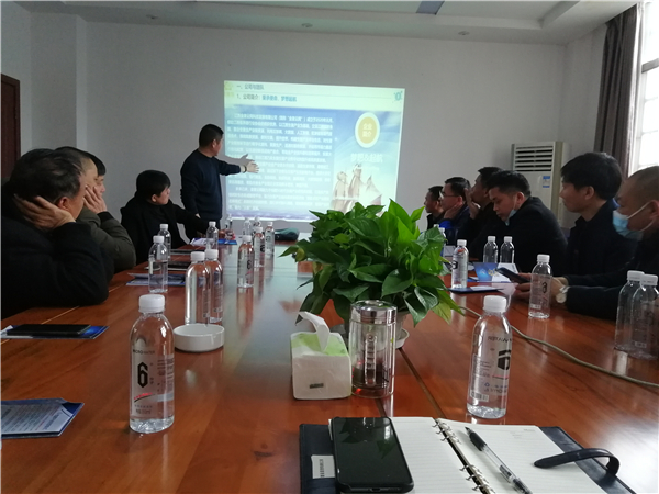 招募令--“金猪岛”全国范围招募金牌猪经纪！