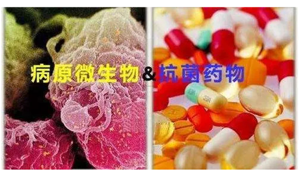 怎么理解抗菌药中的“杀菌药”和“抑菌药”对治疗临床高效用药的意义？