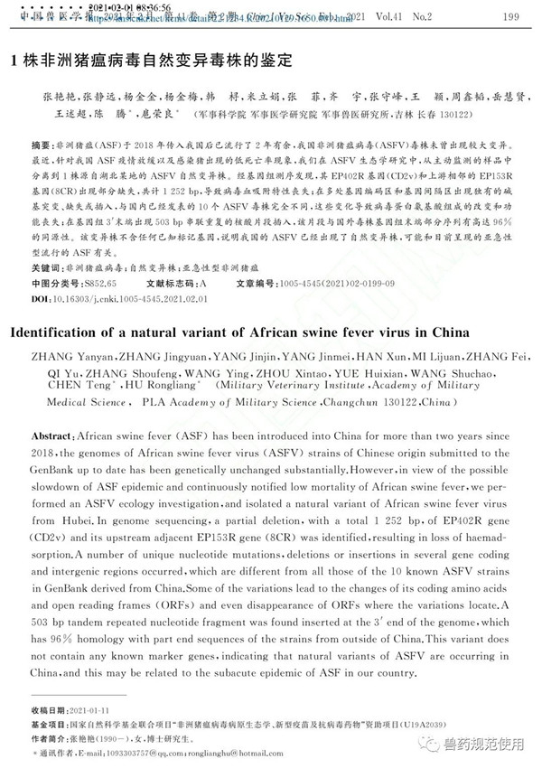 重磅！这次又鉴定出非瘟病毒自然变异毒株？官方表态