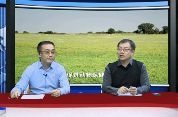 周磊：蓝耳病毒株重组频繁造成稳定猪场发病