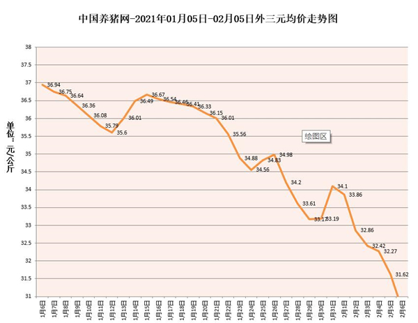 中国养猪网