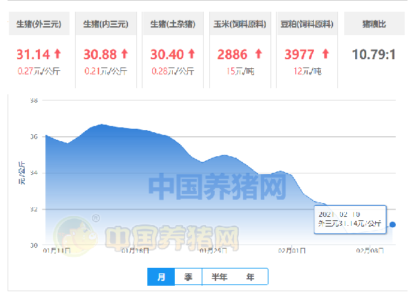 2月10日猪价：全国猪价大面积上涨，猪价跌潮要结束了？
