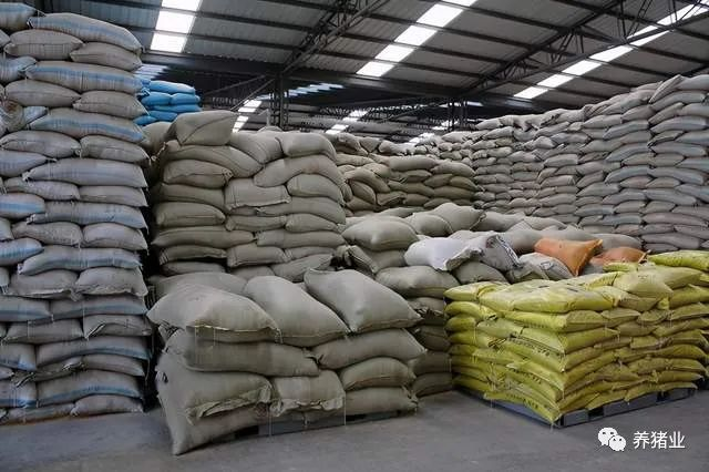 实验：若将非瘟病毒接种在饲料厂，是会广泛分布在饲料生产环境，还是？