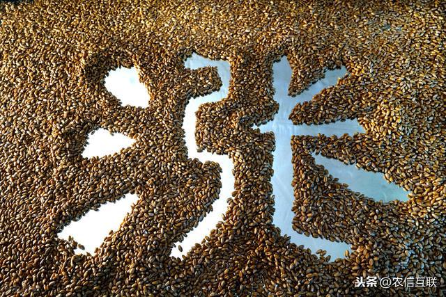 全球抢粮大战爆发！大豆创7年新高，玉米涨36%，今年粮价还涨