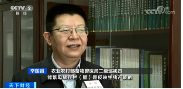 农业农村部：一季度生猪出栏约增四成；猪价稳中伴涨