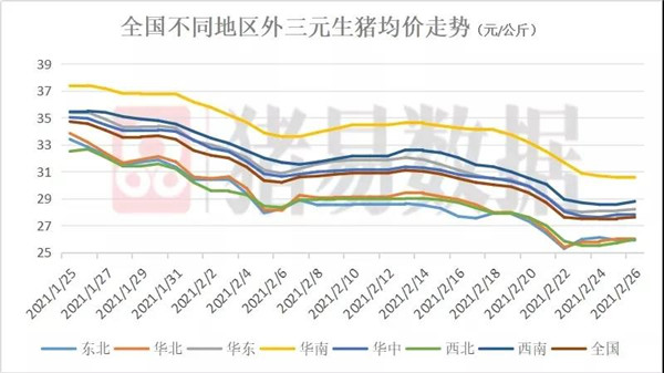 供大于求？下周猪价或继续偏弱