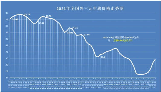 3月3日，猪价6连涨，行情“一片红”，2个坏消息，猪价又要跌？