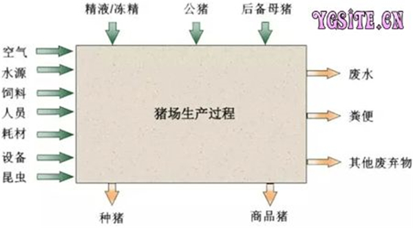 猪场生物安全风险评估