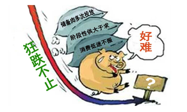 3月05日：猪市“一片绿油油”，猪价呈现滑坡式下跌，该咋办？