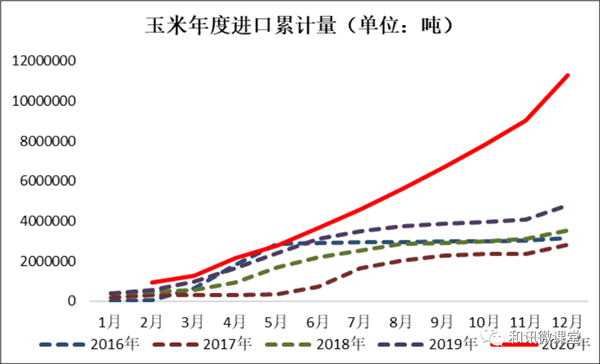玉米强力反弹，重返2800元每吨上方