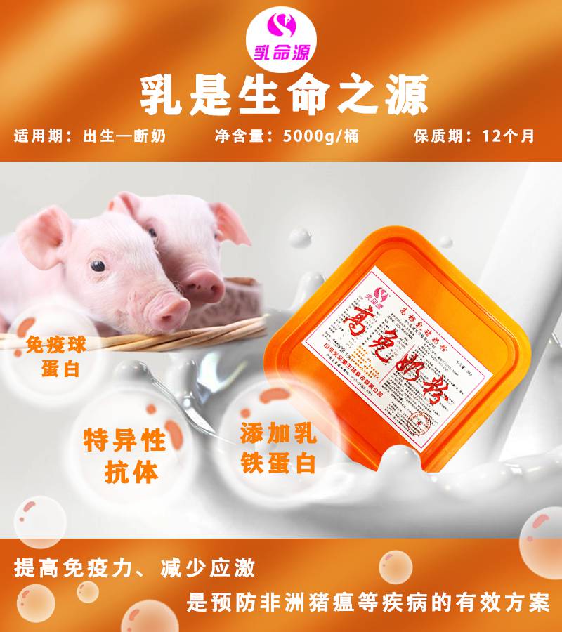 提高外购仔猪存活率预防非洲猪瘟等疾病的途径使用乳命源高免奶粉