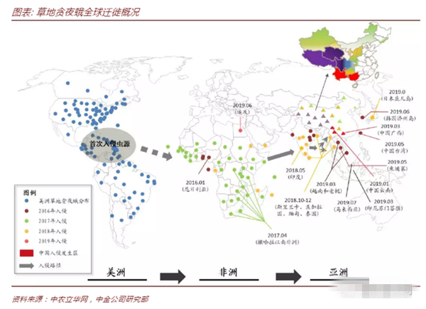 草地贪夜蛾卷土重来 已入侵7省份！农业农村部预计见虫面积4000万亩！