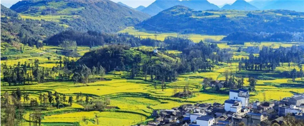 乡村振兴全面推进，“智慧养猪”不止华为独唱