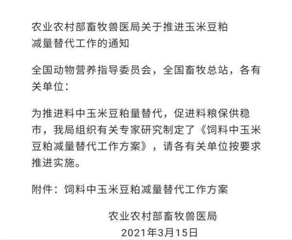 官方最新文件：玉米真的出事了