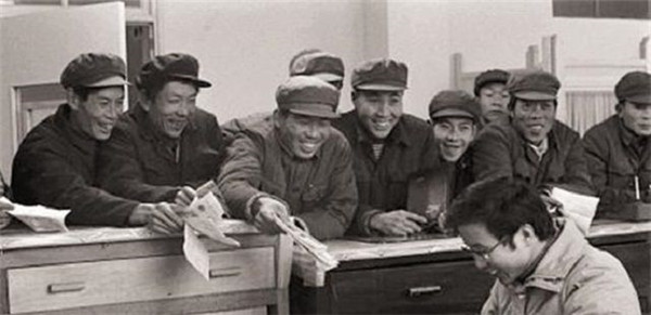 中国养猪网