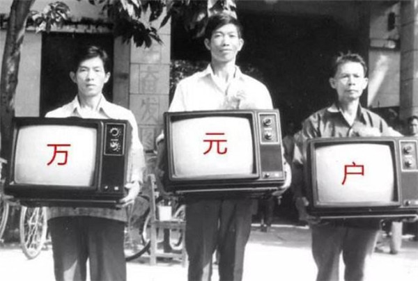 中国养猪网