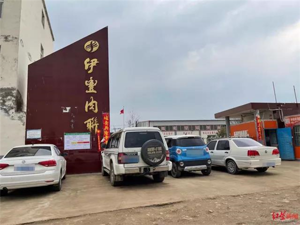 河南一检疫员怀疑屠宰场宰杀病死猪，拍照时遭到殴打、手机被抢！