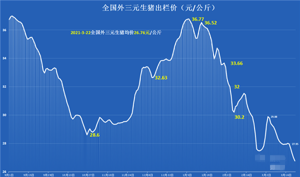 猪价跌成“熊”，行情大跌超10元，养殖户：我太难了！