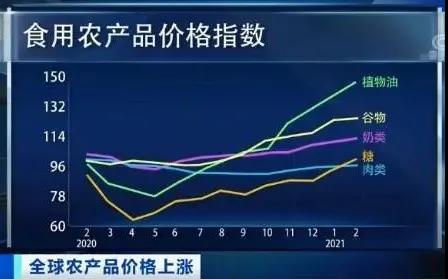 2021全球肉价齐涨！供需担忧加剧！全变了！