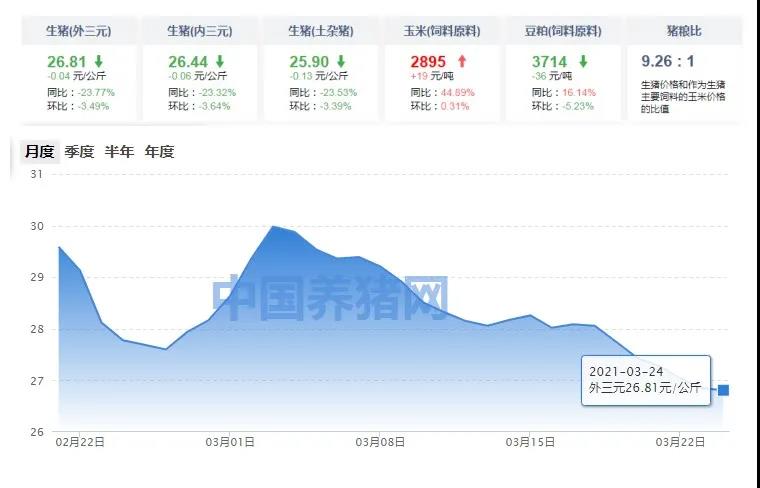 中国养猪网