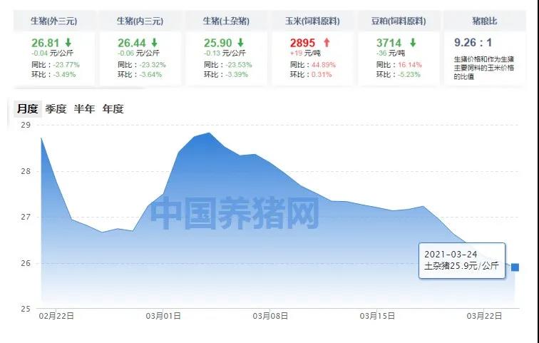 中国养猪网