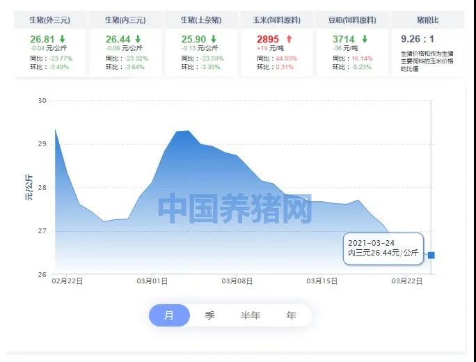 中国养猪网