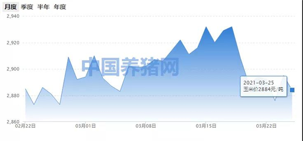 玉米价格回落！市场还需再经历煎熬期？