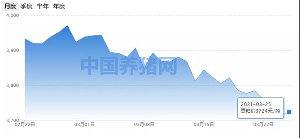 豆粕行情止跌！4月有望迎来强势复苏？