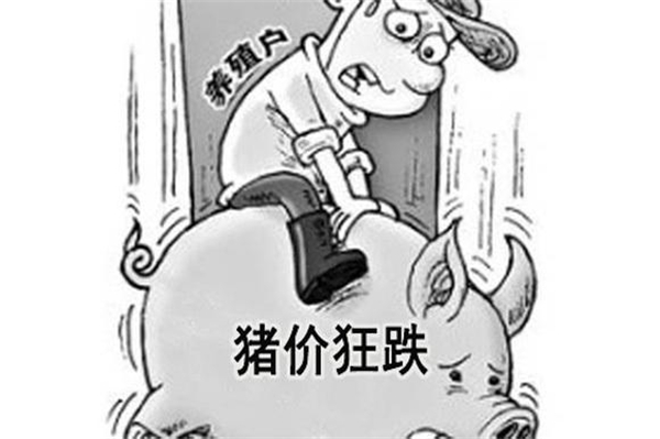痛心！养殖户失守“12阵地”，黑猪价进入“11时代”