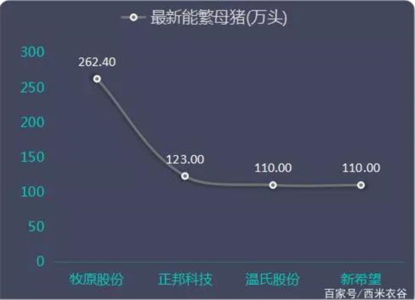 头部猪企能繁母猪存栏量对比：新希望增幅最大，牧原股份次之，温氏下降