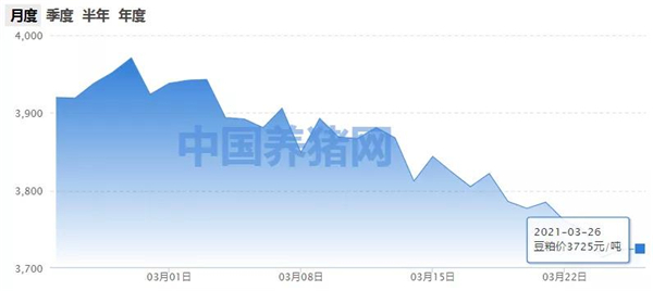 未来供应宽松，豆粕市场行情有望迎来复苏？