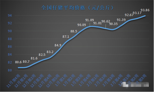 仔猪价四连涨，如何解决育肥成本剧增问题？牧原给出了最好答案
