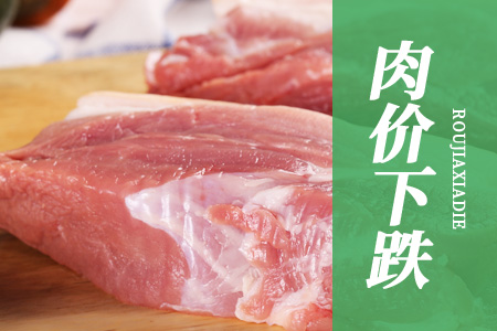 新猪价7涨11跌，猪价走势让养猪户最后的倔强摊牌，上涨不远了