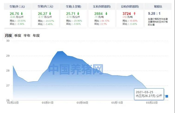中国养猪网