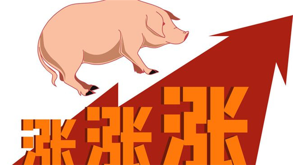 3月28日猪价继续下跌，但上涨形势日益明朗，这3点因素很关键