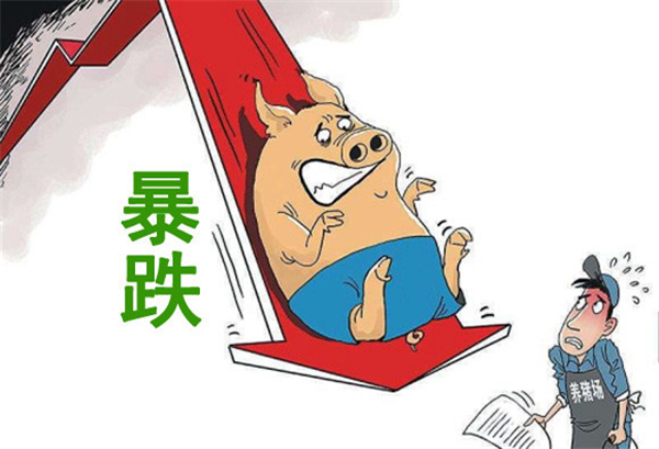 3月28日：够狠！猪价狂跌，一地猪毛，究竟是哪些因素在作怪？