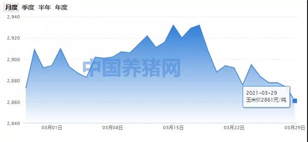 玉米行情走弱！难道真的涨不上来了?