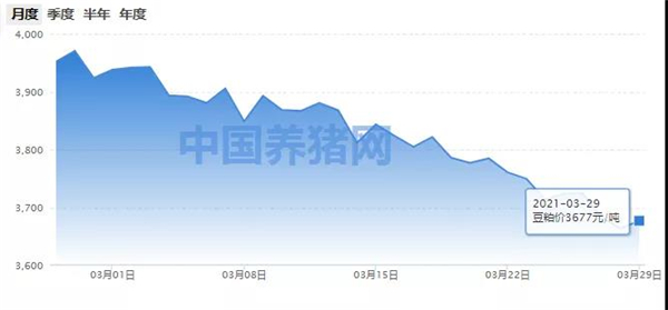 豆粕价格翻红，市场行情迎来利好！