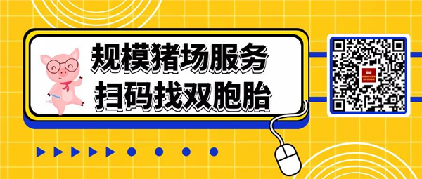 双胞胎集团成立养猪服务站！为规模猪场提供“9大解决方案”！