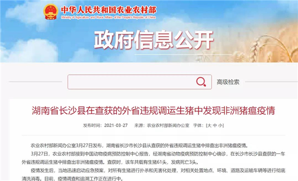 湖南查获外省违规调运生猪中发现非洲猪瘟疫情！已有5省区中招
