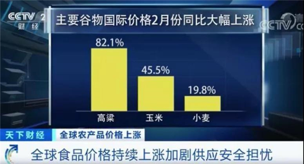 央视报道，全球大涨50%！国产玉米在“偷偷”降价
