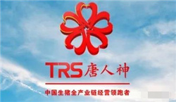 唐人神力争五年内生猪出栏过1000万头