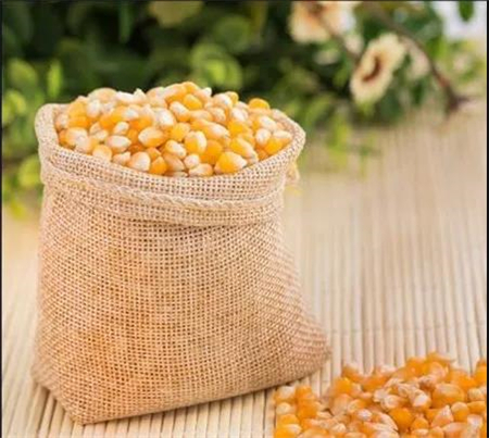 突发！东北玉米春耕，又有坏事发生......