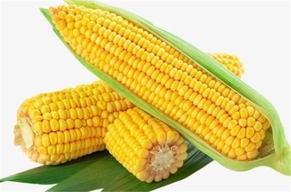 2021年玉米价格最新行情 4月份玉米价格是涨还是跌？
