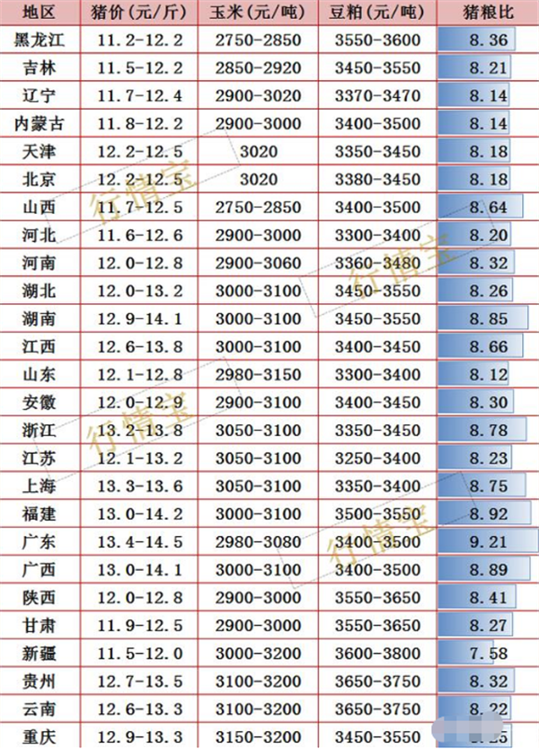 猪价13连跌，玉米跌到1.3元，3个利好消息在路上，要涨？