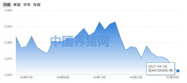 多重利好下，玉米价格后期或偏强震荡？