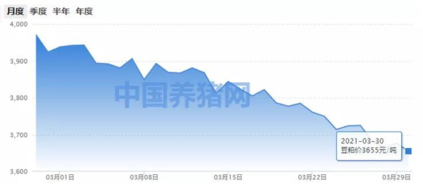 终端市场需求疲软，豆粕价格持续下滑！