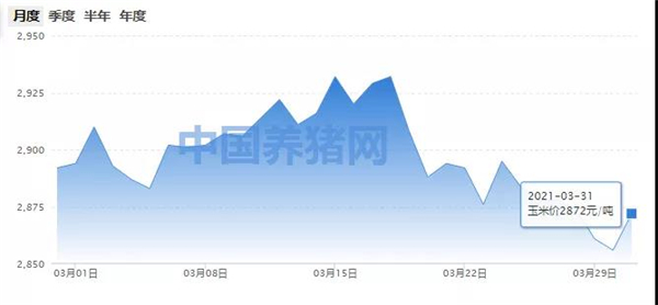 供需结构发生转换，玉米未来市场行情值得期待！